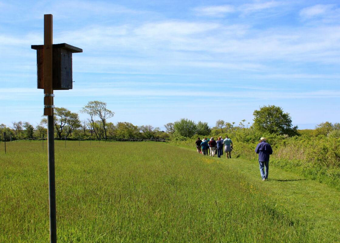 Norman Bird Sanctuary