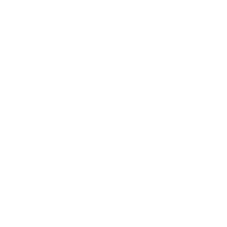Highest Cleaning Standards